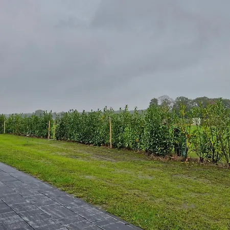 Hotel Campingkamer Knegsel